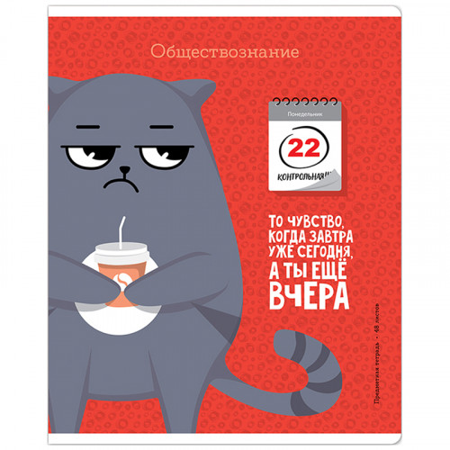 Тетрадь предметная 48л. ArtSpace Котоцинизм - Обществознание, ТВИН-лак