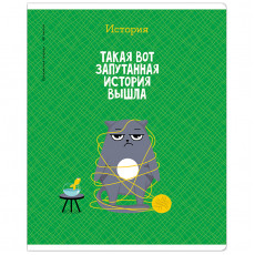 Тетрадь предметная 48л. ArtSpace Котоцинизм - История, ТВИН-лак Тетрадь предметная 48л. ArtSpace Котоцинизм - История, ТВИН-лак