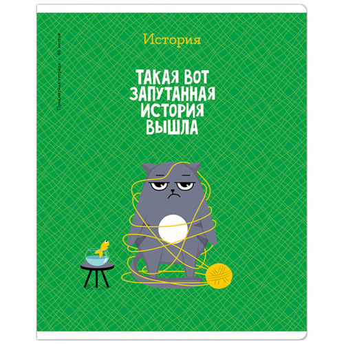 Тетрадь предметная 48л. ArtSpace Котоцинизм - История, ТВИН-лак